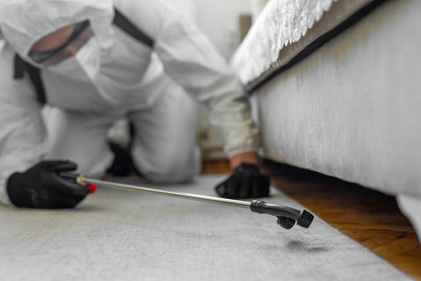 Professional Bed Bug Control technician working in Frankston, TX