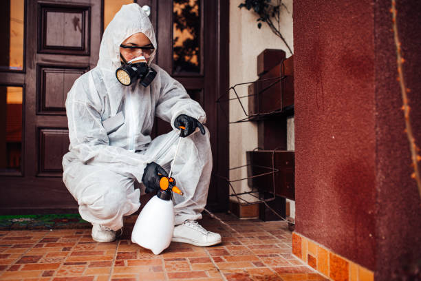 Reliable Bed Bug Control contractor in Frankston, TX by Nex Pest Control
