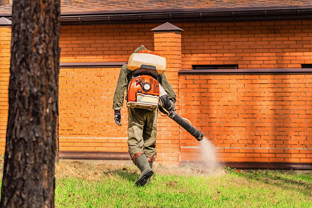Top rated local Bed Bug Control specialists in Frankston, TX